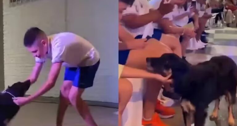 Emotivo reconocimiento: una perrita recibió una medalla de egresada en una escuela