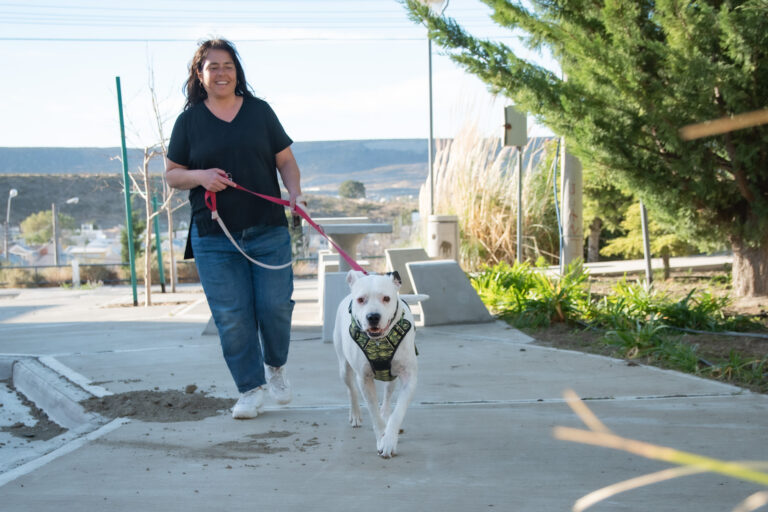 El sábado se realizará una nueva jornada de esterilización gratuita de perros y gatos