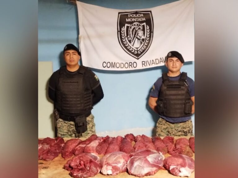 Interceptan a dos hombres con guanacos despostados