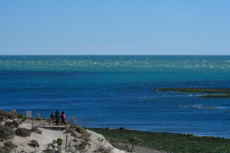 Provincia inauguró la “Temporada de Orcas 2024” con un acto en Punta Norte
