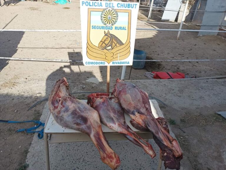 Clausuraron un restaurante que vendía carne de guanaco sin habilitación