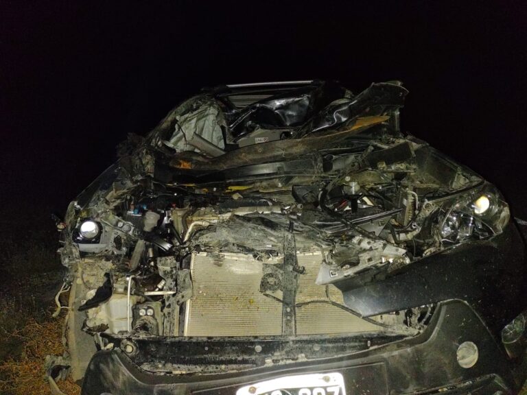Una camioneta chocó contra dos caballos sueltos en la ruta