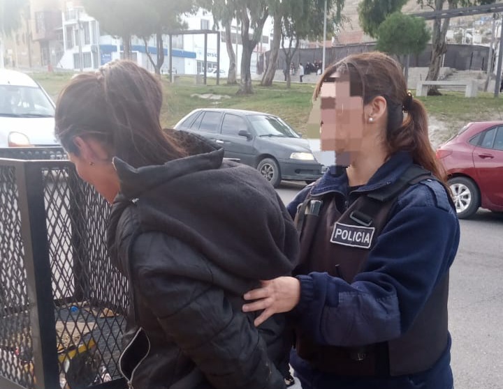 Una mujer fue detenida por robar adornos, ropa interior y gorros de un local