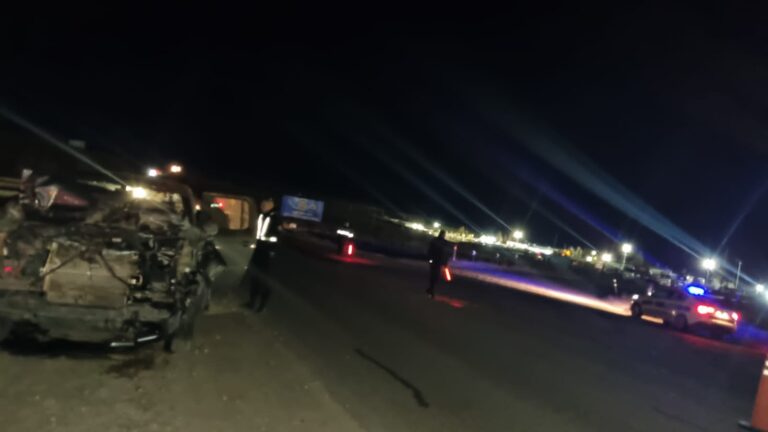 Chocó contra caballos que se le cruzaron en la Ruta 26