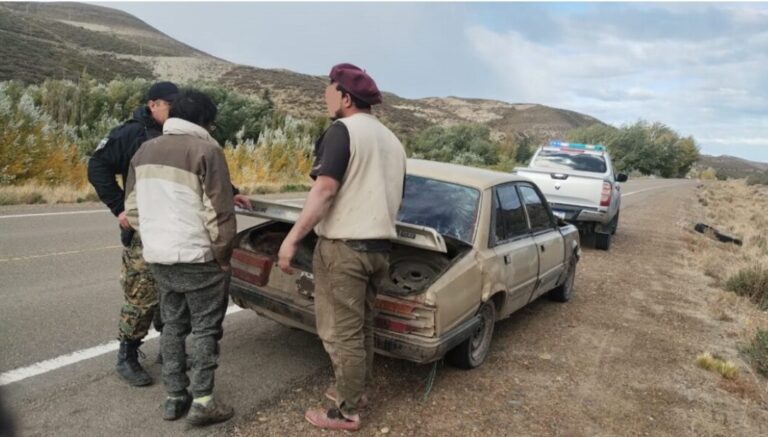 Les incautaron las piezas de guanaco por no tener permiso de caza