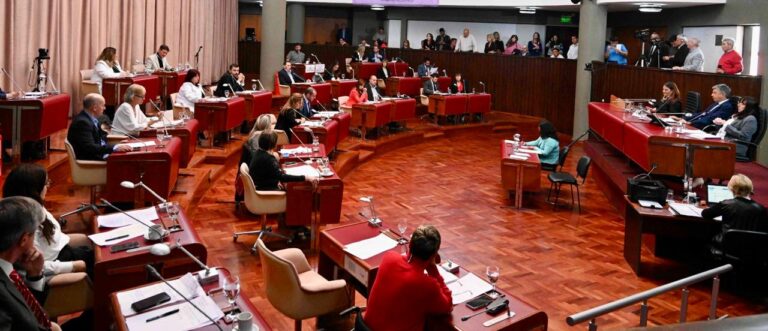 La Legislatura aprobó la ampliación de la Ficha Limpia a las condenas penales por todo tipo de delito