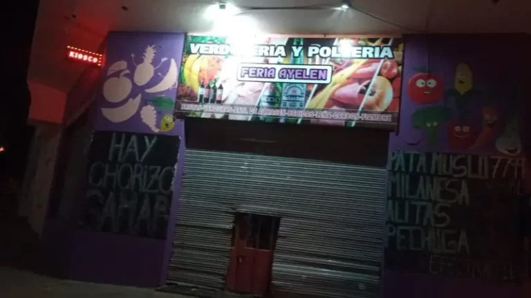 Rompieron la puerta de un comercio para robar y la policía los atrapó