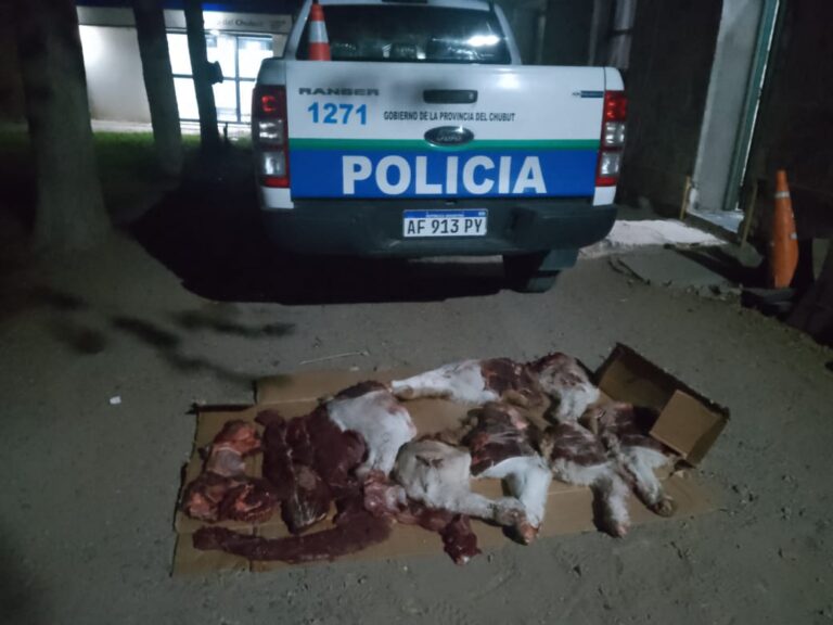 Secuestraron carne de guanaco y armas de fuego