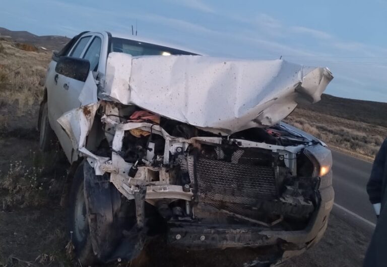 Chocó contra un caballo que se cruzó en la ruta