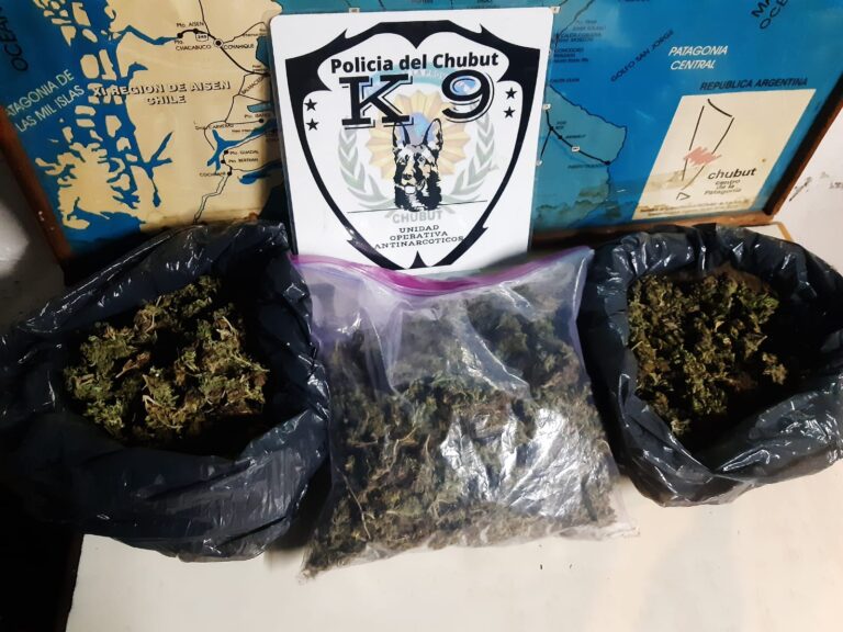 Secuestraron 700 dosis de cannabis sativa en un control vehicular