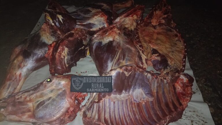 Decomisan carne no apta para el consumo humano