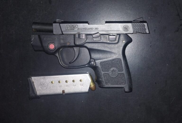 Secuestraron una camioneta y en su interior había un arma