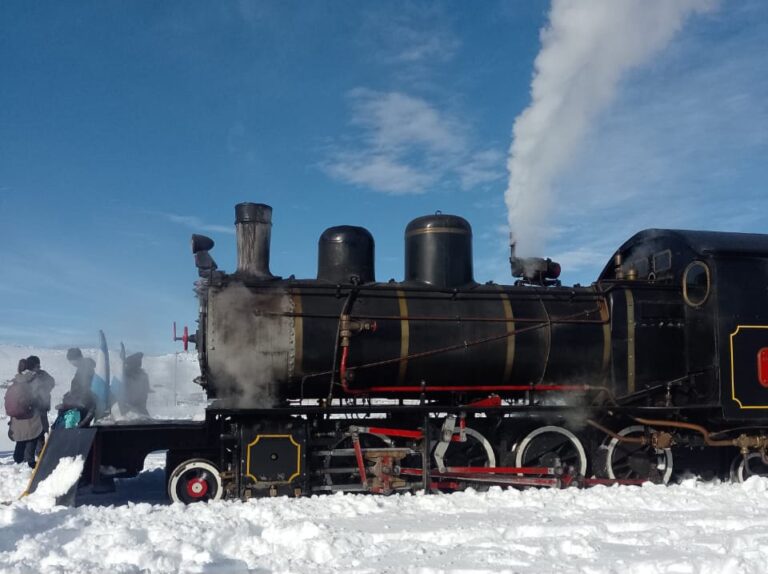 «La Trochita» anunció salidas durante la temporada de invierno