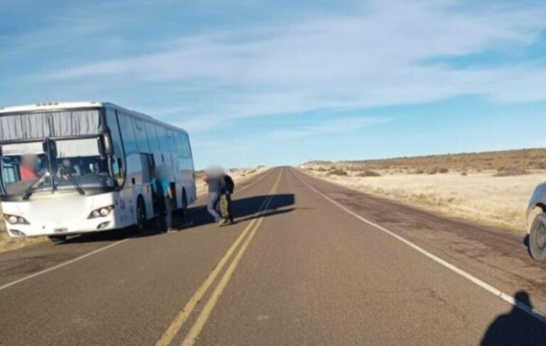 Incautaron carne ovina y de guanaco en un colectivo
