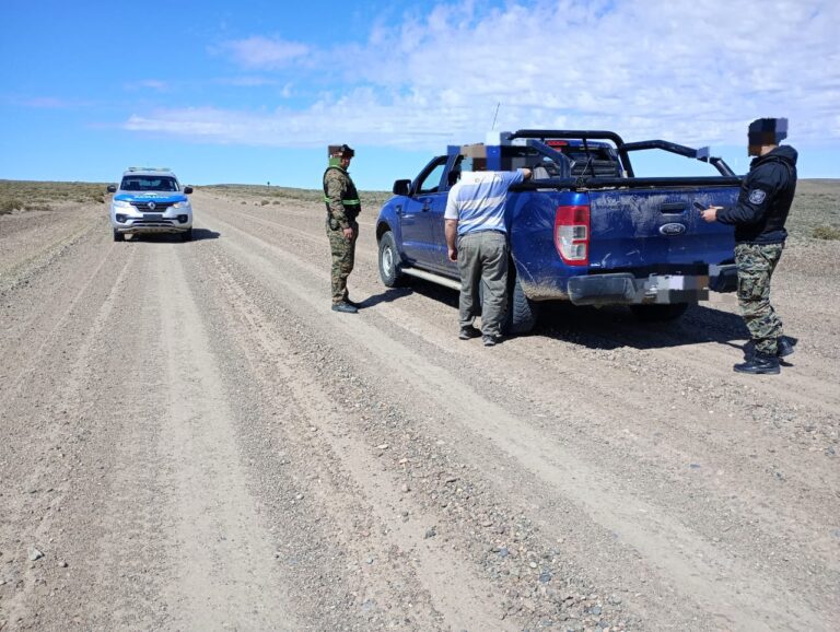 Traían 5 guanacos fuera de temporada de caza