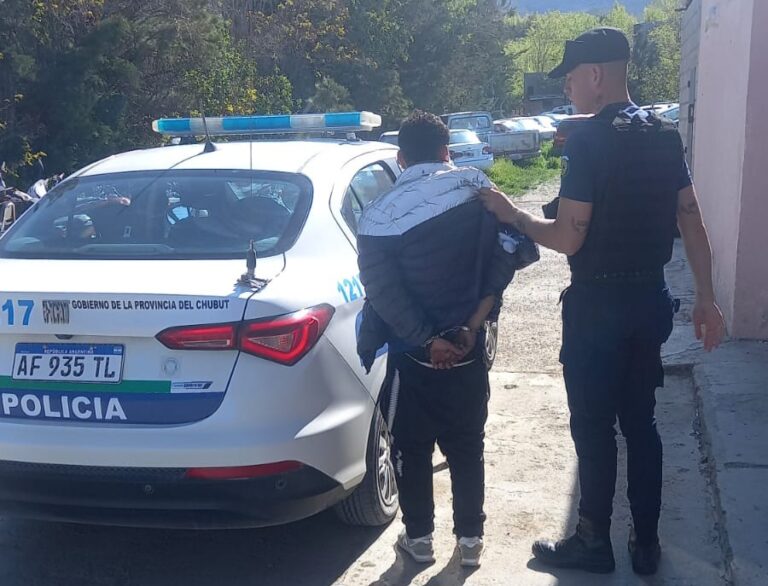 Detuvieron a un joven por intento de robo en “La Salada”