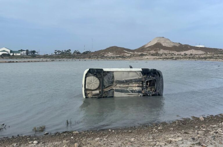 Discutió con su hijo y terminó volcando sobre una laguna