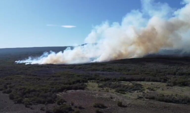 El Gobierno Provincial trabaja para controlar incendio forestal en la zona de Río Pico