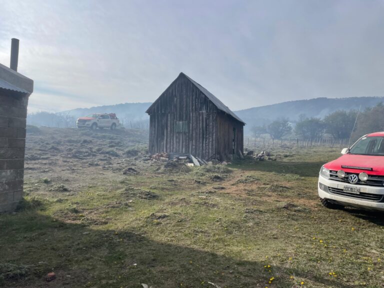 Con un importante despliegue de recursos, contuvieron el incendio forestal en la zona de Río Pico