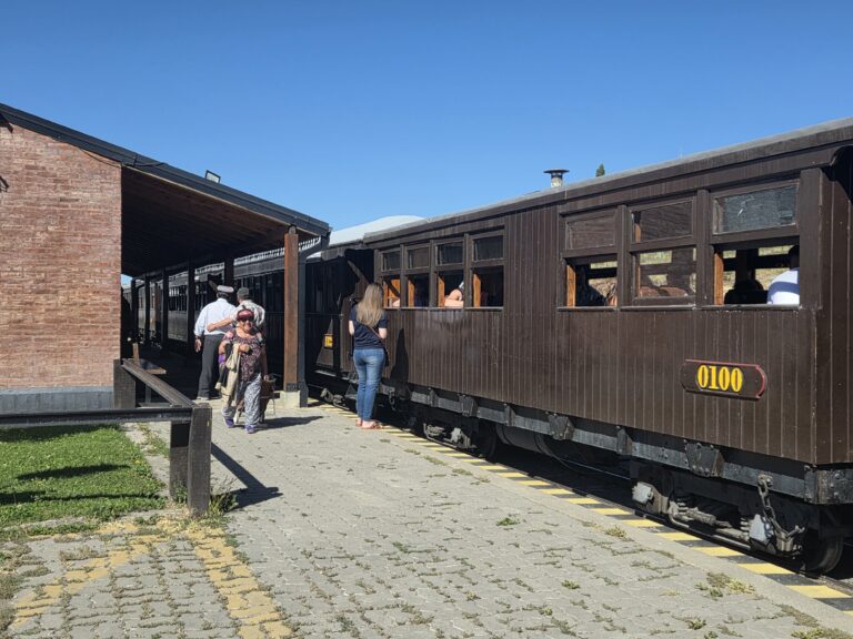 La Trochita realizó la primera salida del 2026