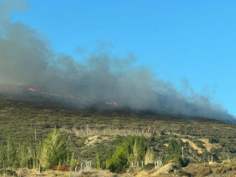 Bomberos trabajan para controlar incendio de pastizales y evitar su propagación