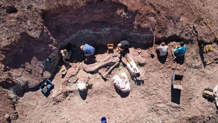 Provincia acompaña una nueva campaña paleontológica que fortalece el conocimiento científico y el patrimonio chubutense