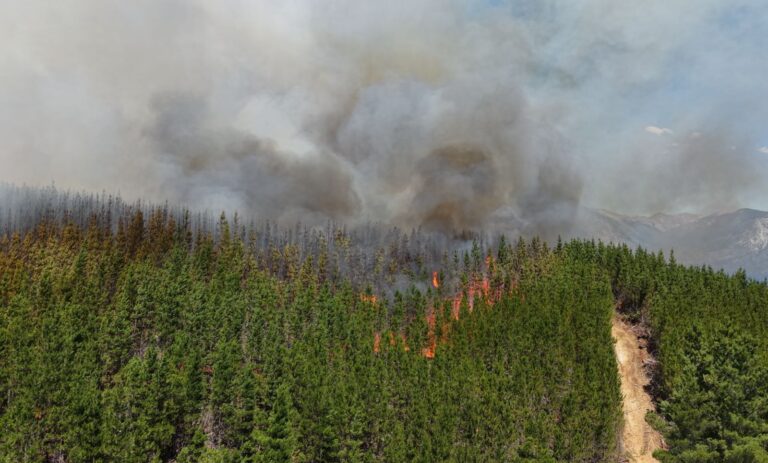 Con más de 230 personas y 6 medios aéreos, continúa el fuerte operativo para controlar el incendio en Puerto Patriada