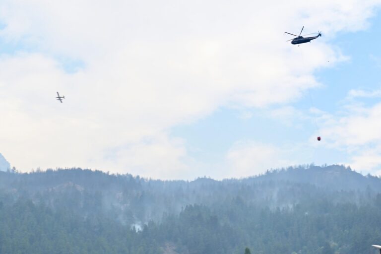 Incendios en la Cordillera: Provincia sostiene el operativo con un fuerte despliegue de brigadistas y monitoreo permanente