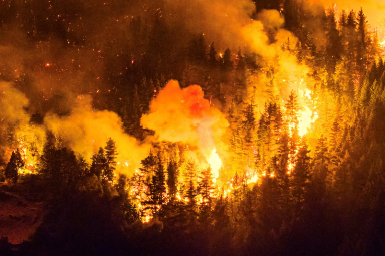 Incendios Forestales: Gobernadores de la Patagonia reclamaron más fondos económicos al Presidente Milei