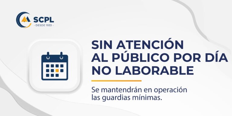 Lunes 19 de enero sin atención al público – Día no laborable para los agentes de Luz y Fuerza