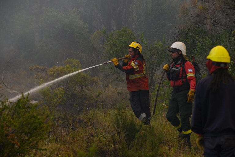 Provincia mantiene un amplio despliegue con cientos de brigadistas y recursos operativos para controlar los incendios forestales en la Cordillera