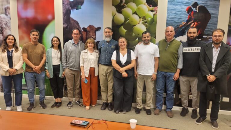 Con una agenda activa de comercio exterior, Chubut impulsa nuevas oportunidades para la producción ovina