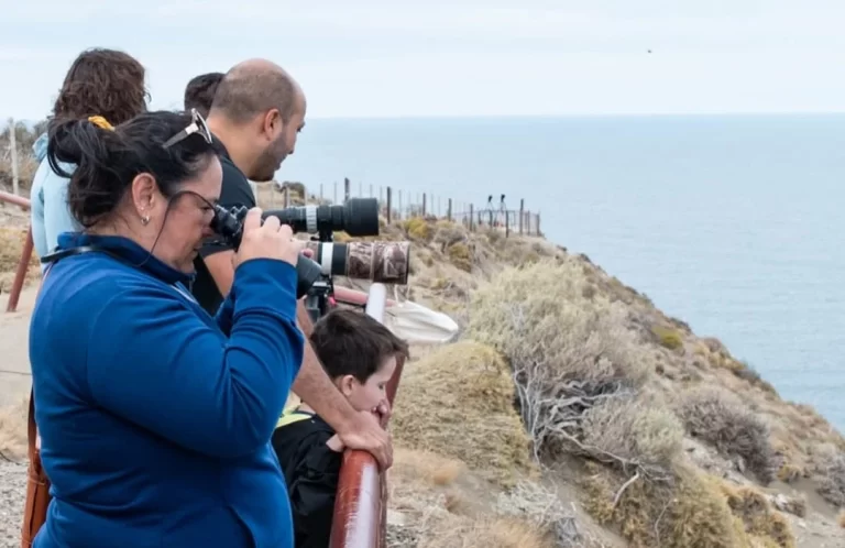 Vecinos y turistas participaron de la vigilia por la Ballena Sei en Rada Tilly