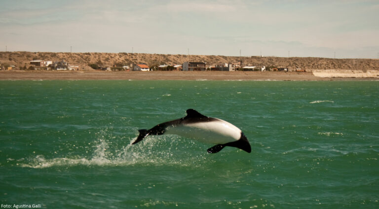 Chubut invita a disfrutar el fin de semana largo con promociones y experiencias únicas en toda la provincia