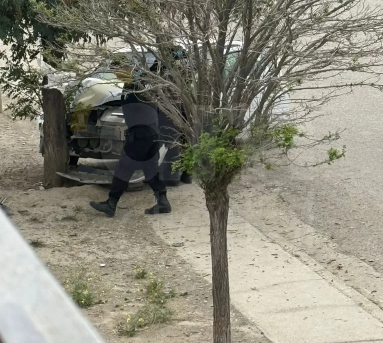 Conductor chocó contra un árbol en la avenida Roca