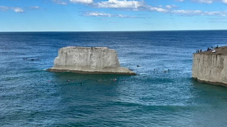 Comodoro vivió el Desafío Farallón: una experiencia que impulsa el turismo náutico
