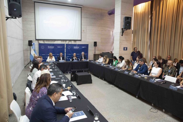 Chubut participó de la primera reunión del año del Consejo Federal de Drogas