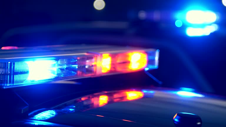 Intentó escapar de un control con 13 ovejas maniatadas en la caja de su camioneta