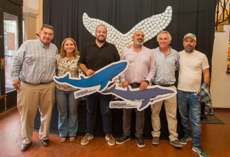 El Municipio presenta en Puerto Madryn el documental «SEI, la ballena desconocida»