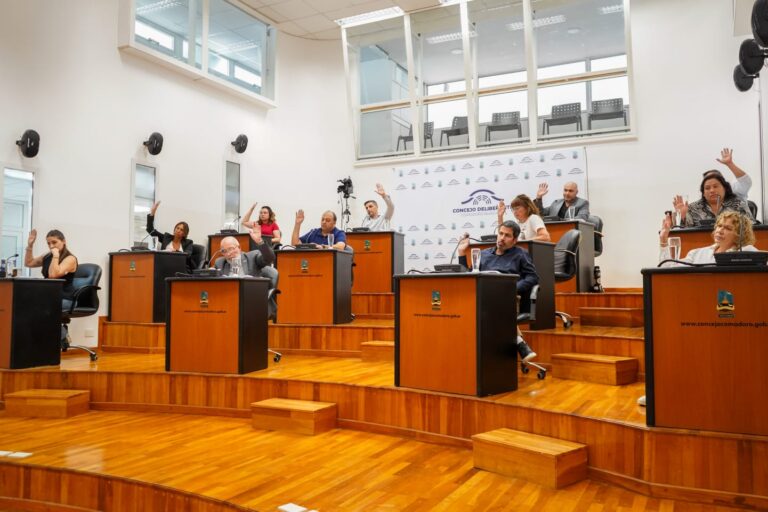 El Concejo aprobó el financiamiento de viviendas para damnificados por el colapso del Cerro Hermitte