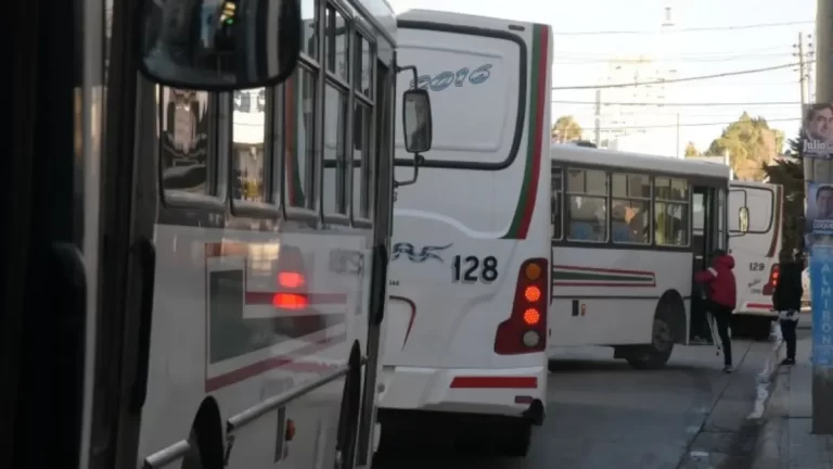 Una mujer denuncia que su hijo con discapacidad se cayó del colectivo y el chofer continuó su marcha