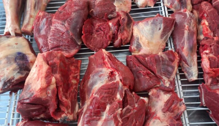Comodoro aclaró que no permitirá la comercialización ni el consumo de carne de burro