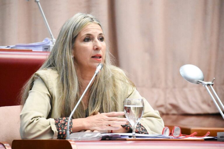 Legislatura: Caminoa renunció a su banca de diputada y asume Giordano