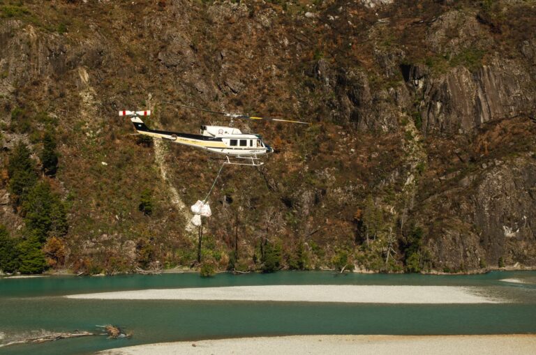 Hito en la restauración de bosque nativo: Chubut concretó el primer operativo aéreo de transporte masivo de plantines