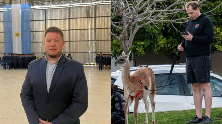 La Municipalidad de Rada Tilly tomo acciones sobre el paseador del guanaco y confirmaron la denuncia