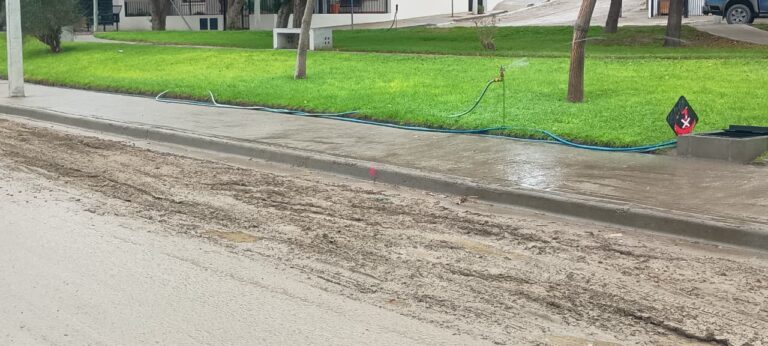 ¿Tiene sentido regar cuando está lloviendo?