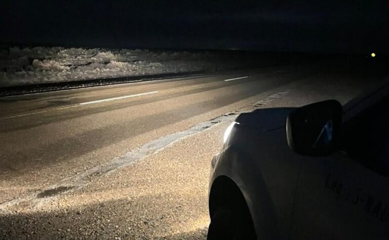 Precaución en la Ruta 3: calzada húmeda y presencia de animales entre Garayalde y Comodoro