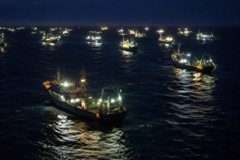 El saqueo al mar argentino se profundiza: preocupación por la pesca extranjera en el Atlántico Sur
