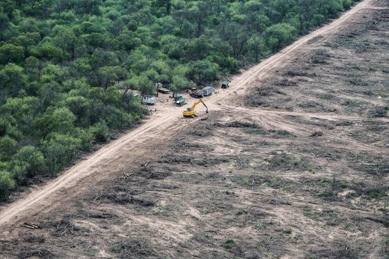 El Senado avanzó con una iniciativa para castigar los delitos ambientales más graves