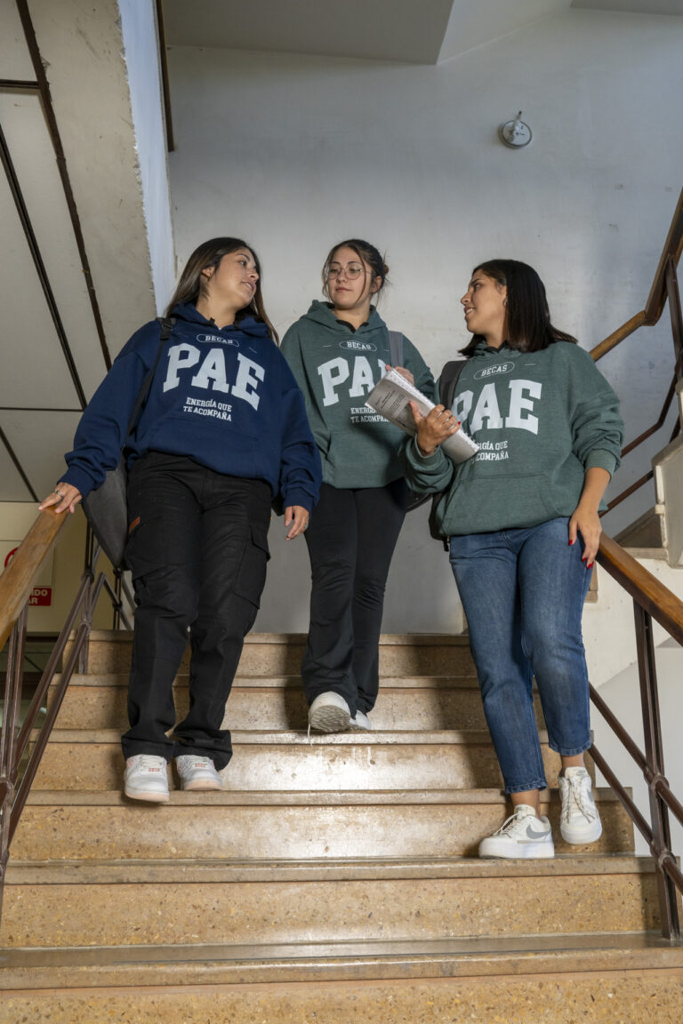 PAE junto a la Universidad de San Andrés lanzan una nueva edición de becas para estudiantes de Chubut y Santa Cruz